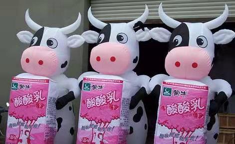 九龙坡牛奶包装广告气模